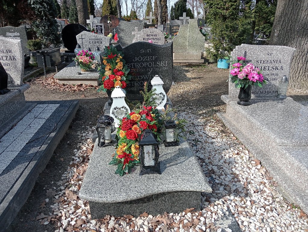 Grób Ludwika Ostropolska